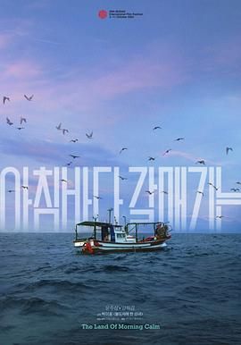 晨海的海鸥海报