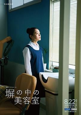 高墙之内的理发室海报