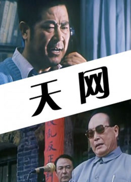 天网海报